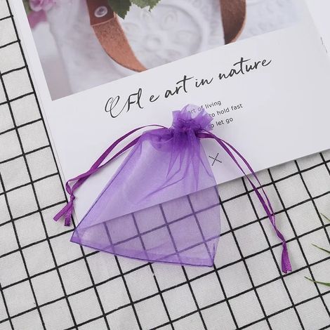 Sacs de protection pour raisins (violet, 20 x 30 cm, 50 pièces) - Sacs de culture en maille respirante pour la protection des fruits et des plants de fraisiers - Organza (1/4)