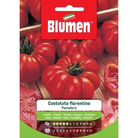 SEMI POMODORO COSTOLUTO FIORENTINO