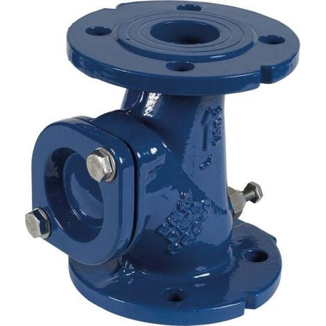Clapet anti-retour DN 80 fonte pour SANIPUMP VX80 - Sfa