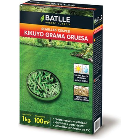 Graines de Gazon Batlle Kikuyo Herbe épaisse 100 g, 200 g, 500 g et 5 kg 200 g. (1/3)