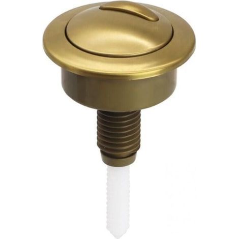 Bouton Poussoir Chasse d'Eau Doré Brossé Remplacement pour Réservoir WC Twyford Optima 49 (1/5)