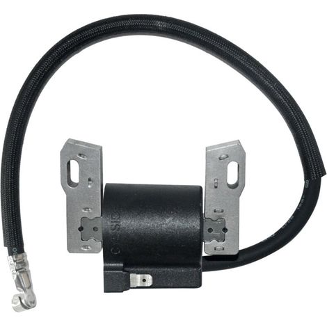 Zündspule für Briggs Stratton 591420 398593 496914 793281 792395 -..DEBUNS (1/4)