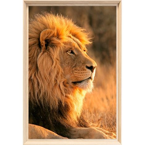 Tableau mural encadré lion profil doré 40x60 cm - Tableau Mural Décoratif - Image Encadrée Imprimée en HD - Impression 40x60 cm sur Fibres de Bois FSC - Finition Mate - Fabriqué en France (1/5)