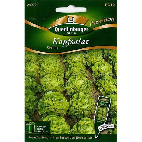Quedlinburger Kopfsalat Cosima - Premium Gemüsesamen (1/2)