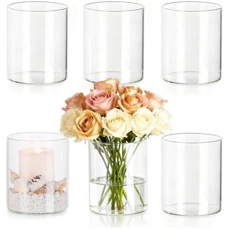 Vase Cylindrique en Verre Transparent, Lot de 6 Pots de Fleurs en Verre, 8 x 6,5 cm Vase Transparent, Décoration de Table, Vase en Verre, pour Fleurs, Décoration de Salon pour Mariage (1/5)