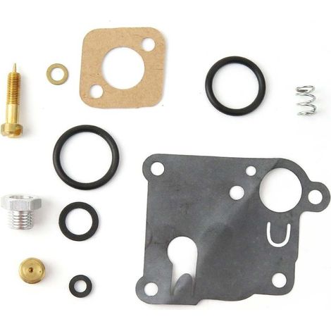 Kit réparation carburateur pour moteur Briggs & Stratton modèle Pulsa-jet (1/2)
