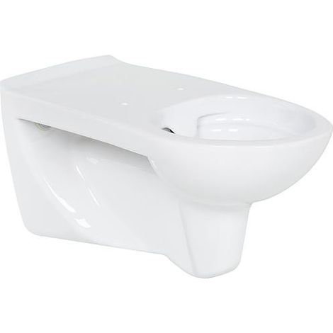 WC suspendu Elida sans bord de rinçage, céramique blanc, Lxhxp: 380x390x730mm