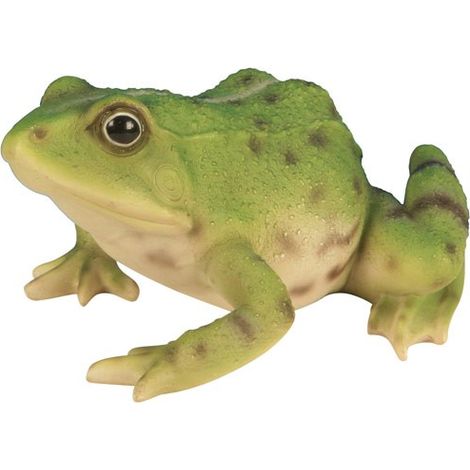 Grenouille décorative en poly-résine 15 cm – Décoration de jardin originale – Lavable à l'eau savonneuse – Près d'un bassin