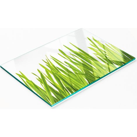 Planche décorative multifonctionnelle pour cuisine en verre trempé, motif herbe, 80 x 52 cm (1/5)