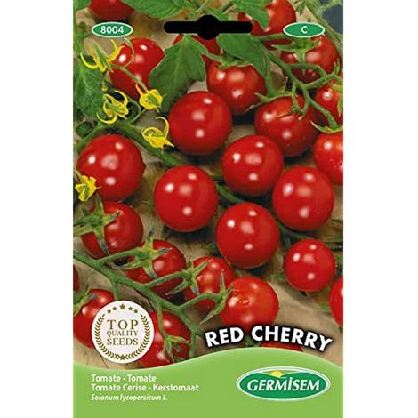graines Tomate cerise RED CHERRY (1/4)