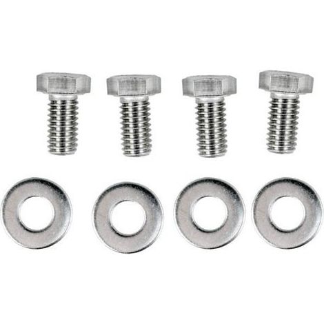 Kit de boulons et rondelles en acier inoxydable Zodiac R0536800 PB4-60 (ensemble de 4 pièces) pour boulons de fixation du moteur de surpresseur (1/4)