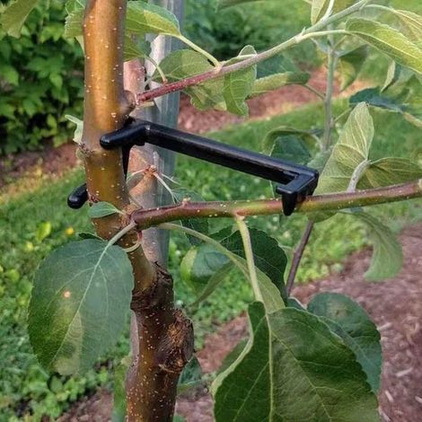 Branch Spreader - Plastic Tree Limb Spreader For Fruit Trees And Potted Plants - Black - 10 Pieces (1/4)