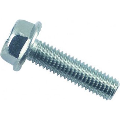 Vis tête hexagonale à embase crantée CL8,8 Zingué - 8 x 20 mm - BIVI (1/2)