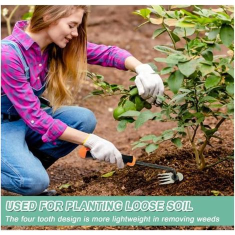 DESHERBEUR Arrache mauvaise herbes jardinage,outil de désherbage manuel, désherbage en acier inoxydable,désherbeur manuel,inoxydable (1/5)