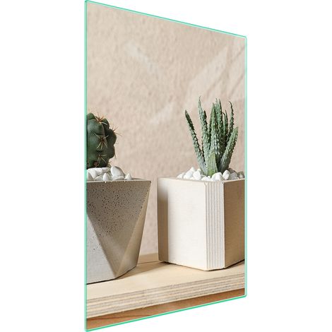 TAGLIERE IN VETRO 35x52 Cactus (1/5)