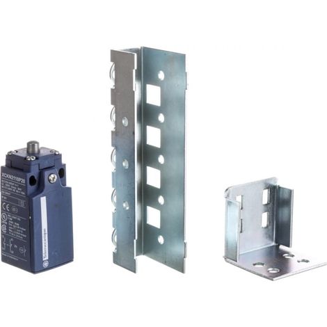 Türschalter 10A SM NSYMDCM20 Endschalter