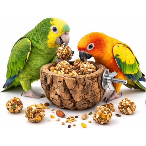 Discovery Bowl – ein natürlicher Napf für alle Papageien (1/3)