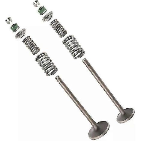 Passend für Honda XR200 XR200R 1980 - 2002 ATC200/E/ES/M/X/S Zylinderkopf Einlass Auslass Ventilfederdichtungssatz XL185S ATV MOTORCYCLE-JXLGV (1/5)