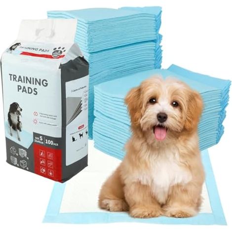 Lot de 100 alèses absorbantes pour l'apprentissage de la propreté chez les chiens et autres animaux de compagnie - 45 x 33 cm - Conception à 6 couches et surface à séchage rapide (1/5)
