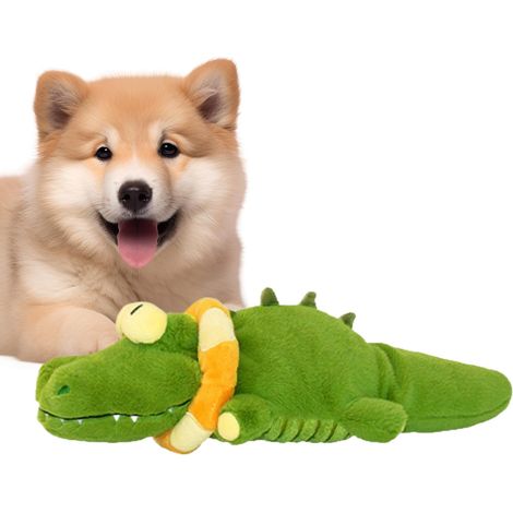 interactif pour Chien Interactive de Nettoyage des Dents (1/5)