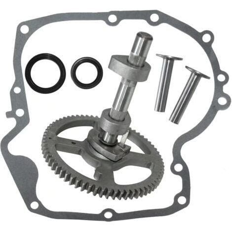 Cyslmuk – Kit de remplacement arbre à cames Briggs & Stratton 793880 – Compatible moteurs 4 temps – Joint de carter et d'huile inclus – Haute qualité (1/4)