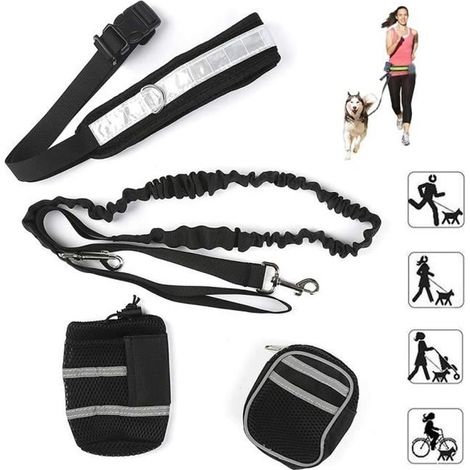 Ceinture Ventrale - Nior - Nylon Résistant - Mains Libres - 2 Poches - Pour Chien (1/4)