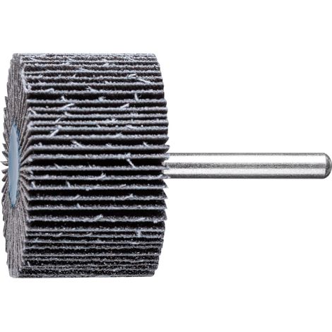 PFERD TOOLS SIC Fächerschleifer F Ø 50x30mm Schaft-Ø 6 mm SIC60 für harte NE Metalle 10 Stk (1/5)