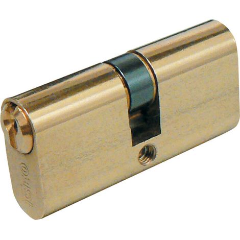 ISEO F5 8300 CILINDRO OVALE 60 MM 26.8.26 (30-30)- ISEO SERRATURE- 1,0 pz