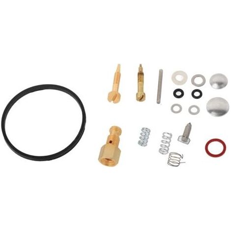 FENOPLASTICA 14-teiliger Vergaser-Reparatursatz für Tecumseh 8-10 PS HH100 HHM80 HM70 HM90 (1/5)
