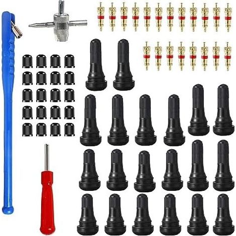 Kit di riparazione valvole per pneumatici auto da 63 pezzi, strumento a 4 vie con 20 nuclei valvola, tappi per pneumatici, strumento per la rimozione dello stelo a testa singola (1/5)