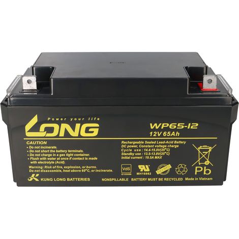 Kung Long WP65-12 12V 65Ah Pb Batterie Bleigel VDS AGM (1/5)