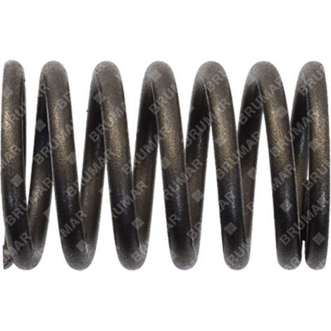 Resorte de válvula para motogeneradores DUCAR - 038222