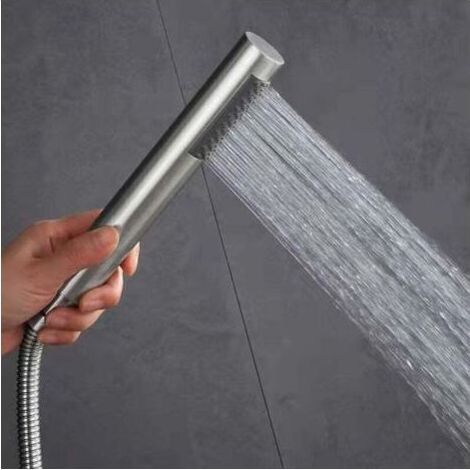 Soffione in acciaio inox satinato a mano, doccia, doccia idromassaggio, flessibile douchePratique e pratica (1/5)