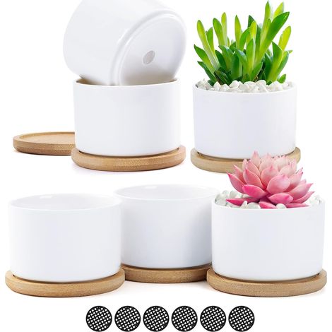 Lot de 6 Pots de Fleurs Blancs en céramique avec Plateau en Bambou et Tampon en Maille pour décoration de Maison, Bureau, Anniversaire, Mariage, Festival