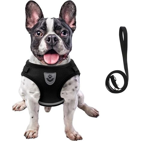 Corde de traction réglable pour harnais pour chien (noir XS) (1/3)