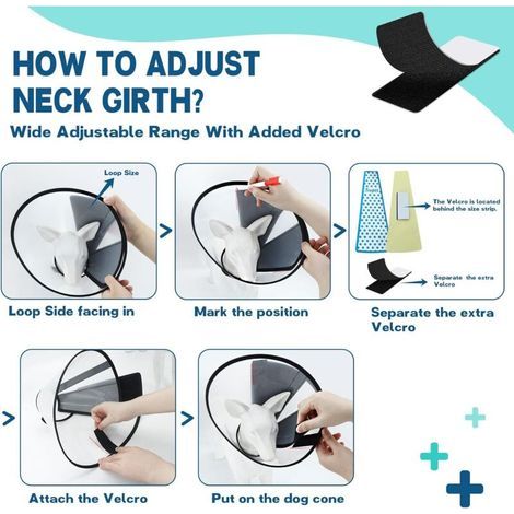 Collier conique réglable après chirurgie, collier de convalescence confortable pour chiens de grande, moyenne et petite taille, collier élisabéthain en plastique pratique (1/3)