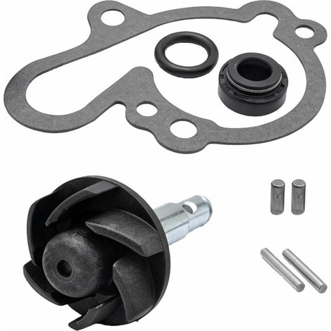 Wasserpumpendichtung für Minarelli AM6, Reparatursatz für Wasserpumpengehäuse, Laufrad, Welle und Stifte für MBK Xlimit Xpower DT RS XP6-XPS Beta Rieju TZR Sherco (1/5)