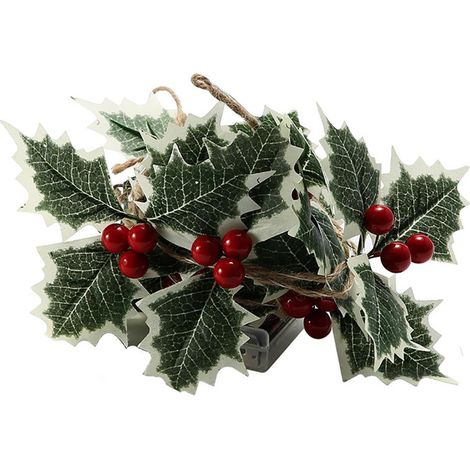 Guirlande lumineuse LED décorative Noël rouge fruit feuille fil cuivre guirlande pour fête et Noël (1/5)