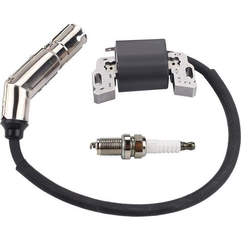 Bobine d'allumage 595304 pour moteurs Briggs & Stratton 799650, 592841, 795315 et 495859 (1/5)