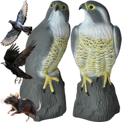 Épouvantail Faucon - Effrayer les oiseaux