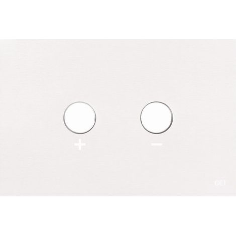 Placca doppio tasto Blink Bianca Opaco cassetta incasso Oli (1/2)