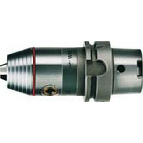 Cnc Mandrino Senza Refrigerante Interno, Capacità Di Serraggio: 2,5-16,0 Mm Hsk 100, Al Di Fuori Ø 57 Millimetri, Lunghezza Aperto: .. 116 Millimetri, Lunghezza Di Manico: 122 Millimetri