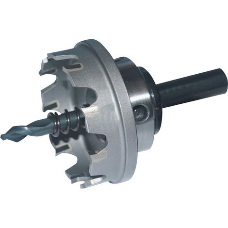 Forum HM-Lochsäge Flachschnitt 31,0 mm