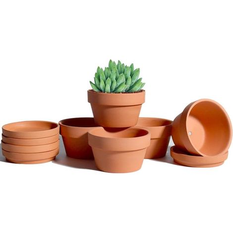 6 Pack 4.5 Inch Terracotta Pots for Shallow Succulents with Saucer, Indoor Outdoor Cactus Pot with Drainage Hole (1/5)