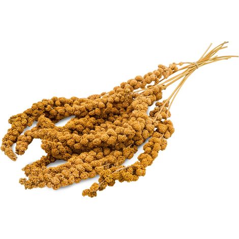 JR FARM Spray Millet Amarillo - mijo amarillo en espigas 250g (1/5)