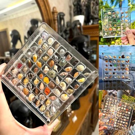 Caja de almacenamiento de acrílico transparente para conchas y piedras preciosas - Organizador de 64 compartimentos