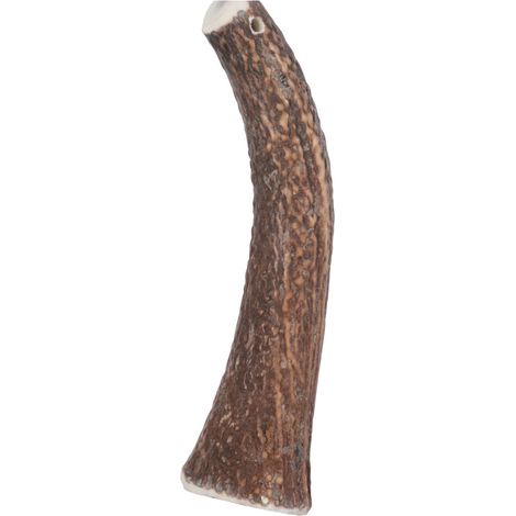 Bâton à mâcher Bois de Cerf Entier Hard XL, environ 18 cm, pour chien plus de 20 kg. - zolux (1/5)