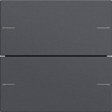 Gira WIPPENSET 2F TASTSENS.4 ANTHR. (575228 SYSTEM 55)