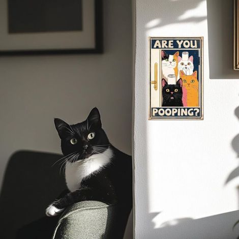 Plaque en étain "Are You Pooping" (Tu fais caca ), Chaton cartoon, Plaques en étain métalliques de chats, Plaque métallique vintage 30x20 cm, Plaques de décoration murale drôles pour la décoration de (1/4)