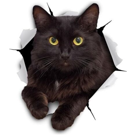 Autocollants Chat Muraux 3D - Paquet de 2 - Autocollants Décoratifs Drole – Stickers Siamois Chat Chaton Pour Mur - Frigo - Toilette - Salle 11 x 12CM (1/4)